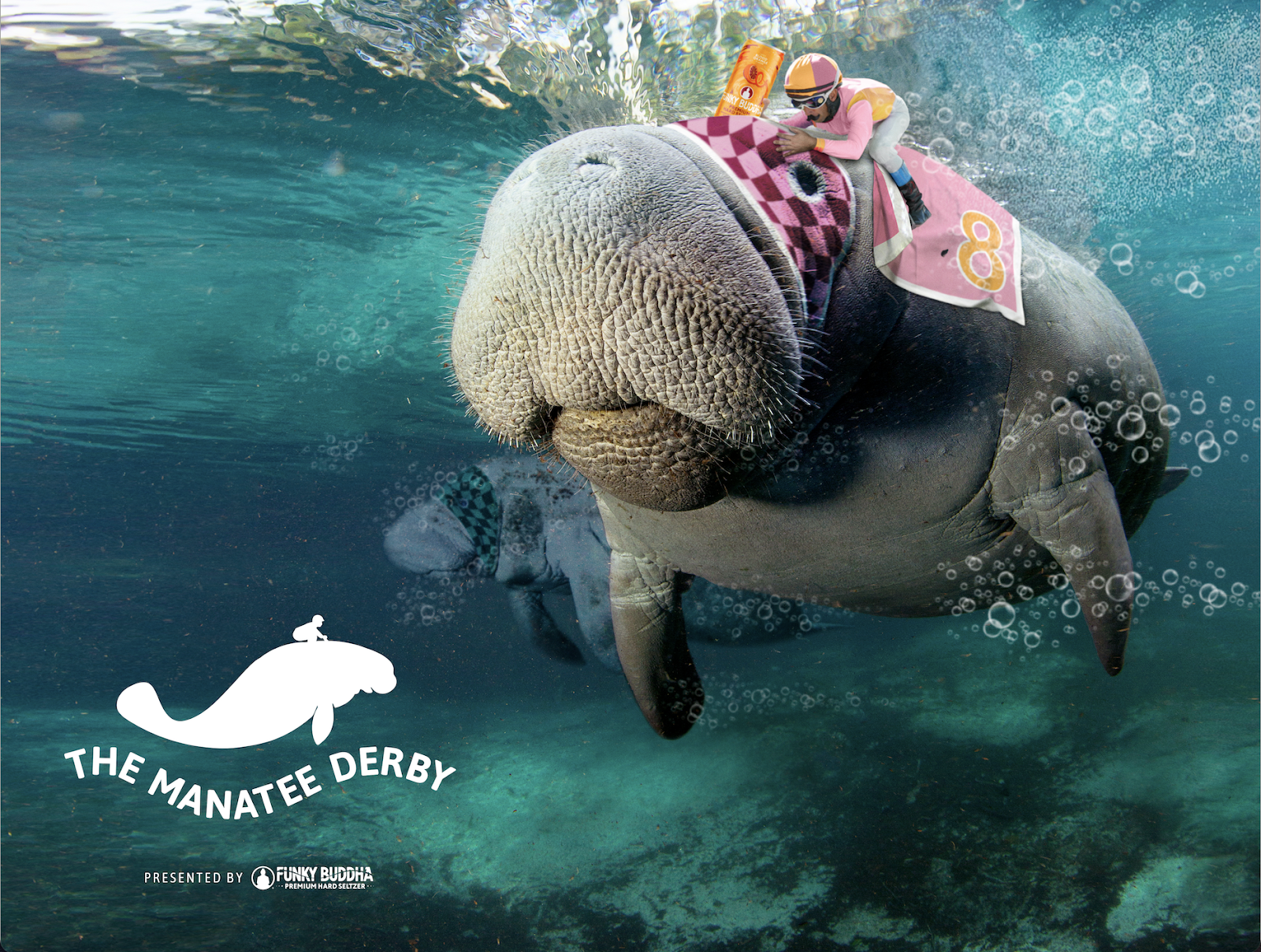 Manatee Derby